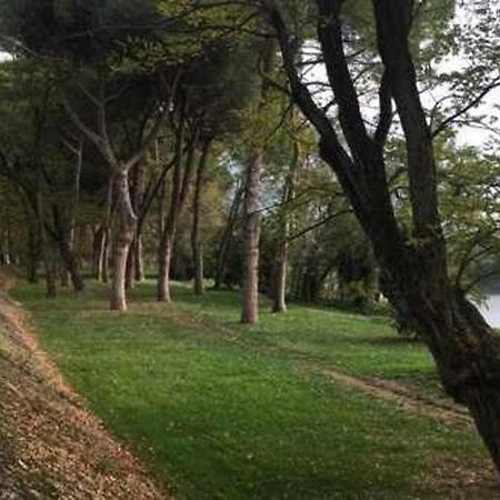 Pisa Appartamento Bonaini Extérieur photo