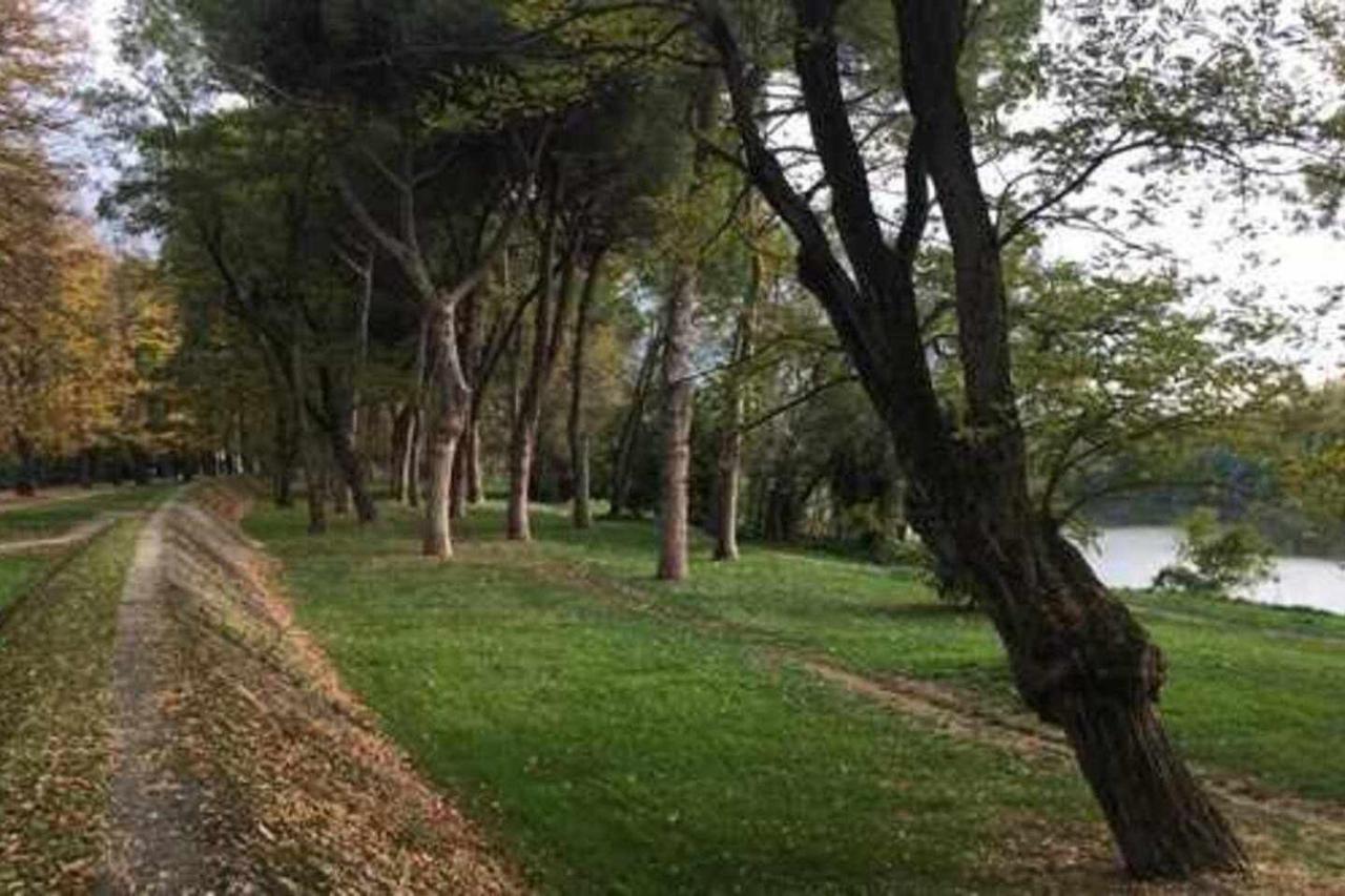 Pisa Appartamento Bonaini Extérieur photo